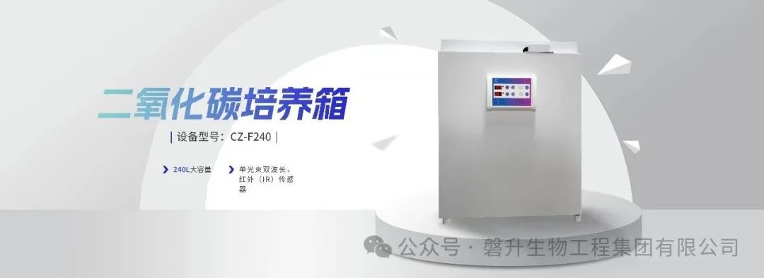 创泽生物二氧化碳培养箱，提供多领域细胞与微生物体外培养理想条件